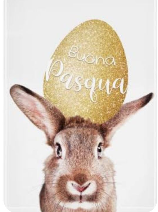 Erika Bonavera psicologo imperia